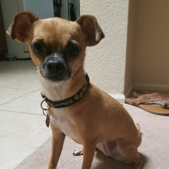 Meet your Posher, Kelsey - Picture 1 of 1